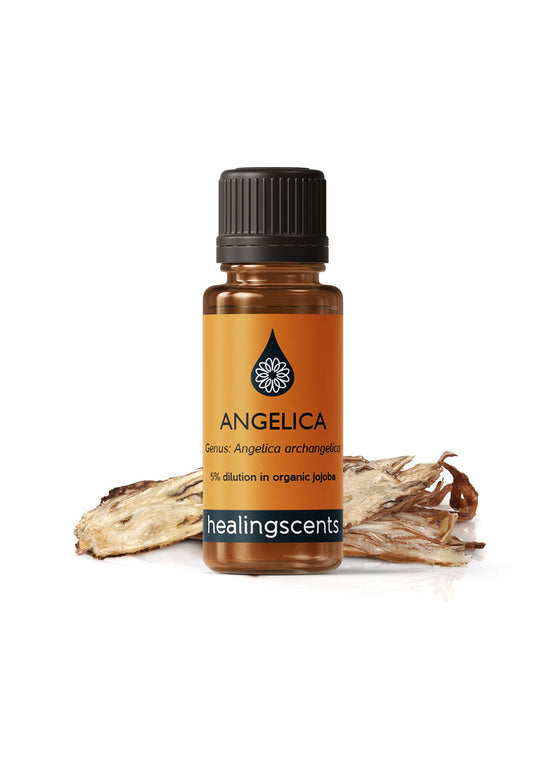 Angelica Root Essential Oil Essential Oil Healingscents   