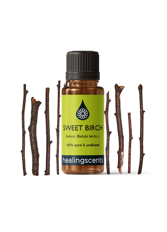 Birch Sweet Essential Oil Essential Oil Healingscents   
