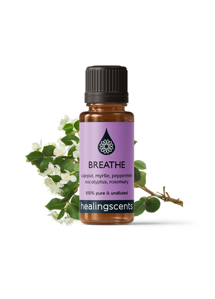 Breathe Synergy Blend Diffuser Blends Healingscents   