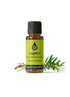 Cajeput Organic Essential Oil Essential Oils Healingscents   