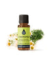 Chamomile German Organic Essential Oil Essential Oils Healingscents   