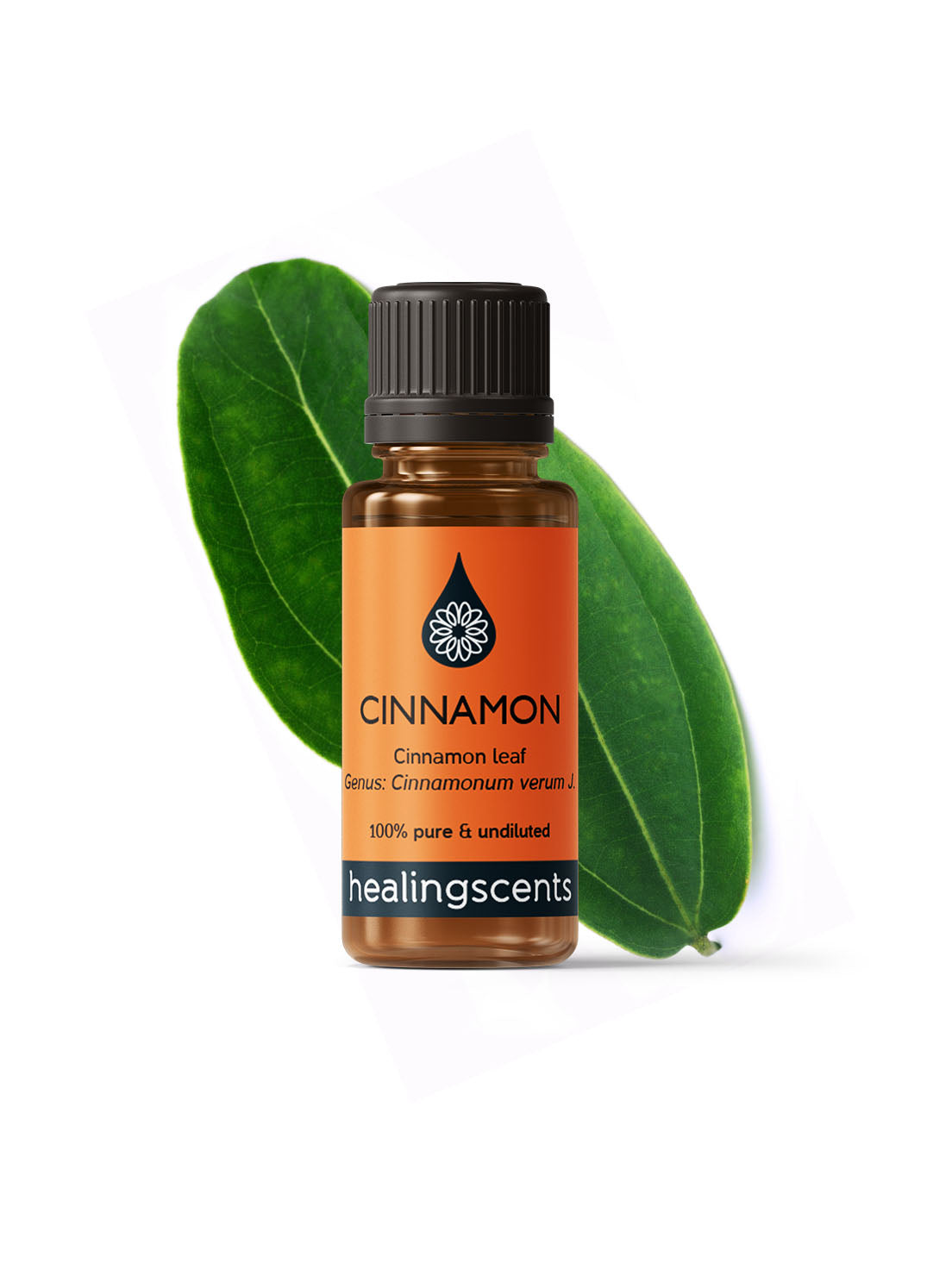 Cinnamon Leaf Organic Essential Oil Essential Oil Healingscents   
