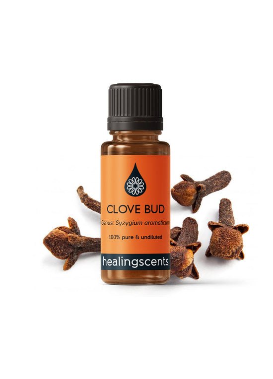 Clove Bud Organic Essential Oil Essential Oil Healingscents   