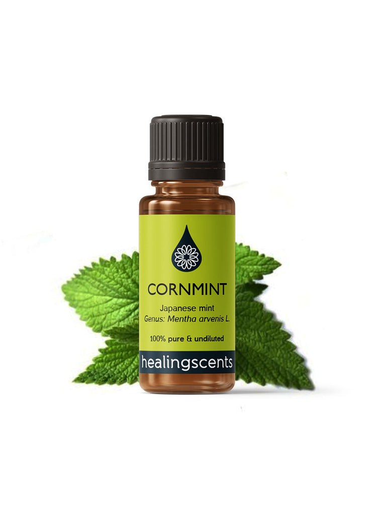 Japanese Peppermint (Cornmint) Essential Oil Essential Oil Healingscents   