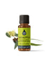 Eucalyptus Globulus Certified Organic Essential Oil Essential Oil Healingscents   