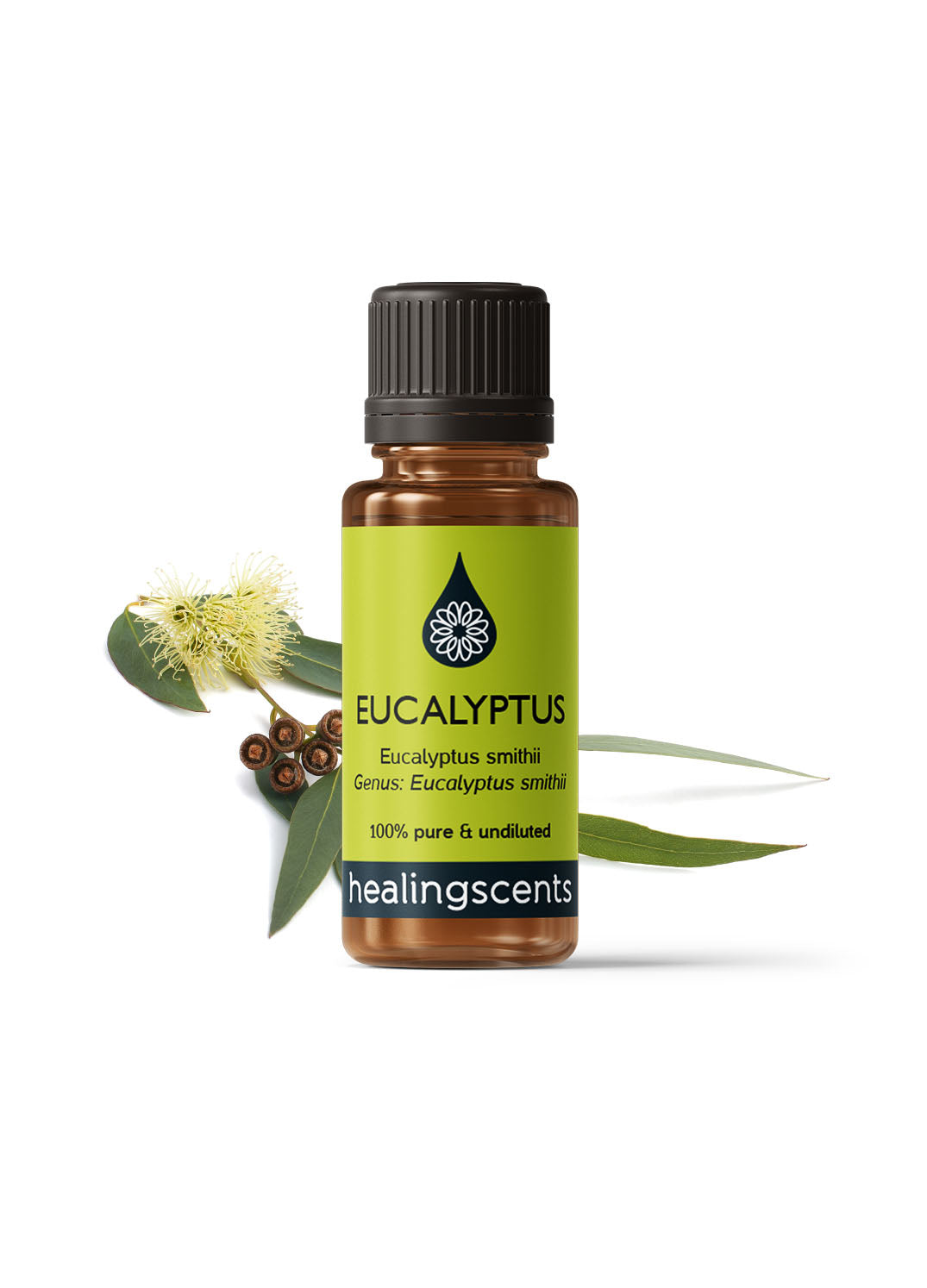 Eucalyptus Smithii Certified Organic Essential Oil Essential Oils Healingscents   
