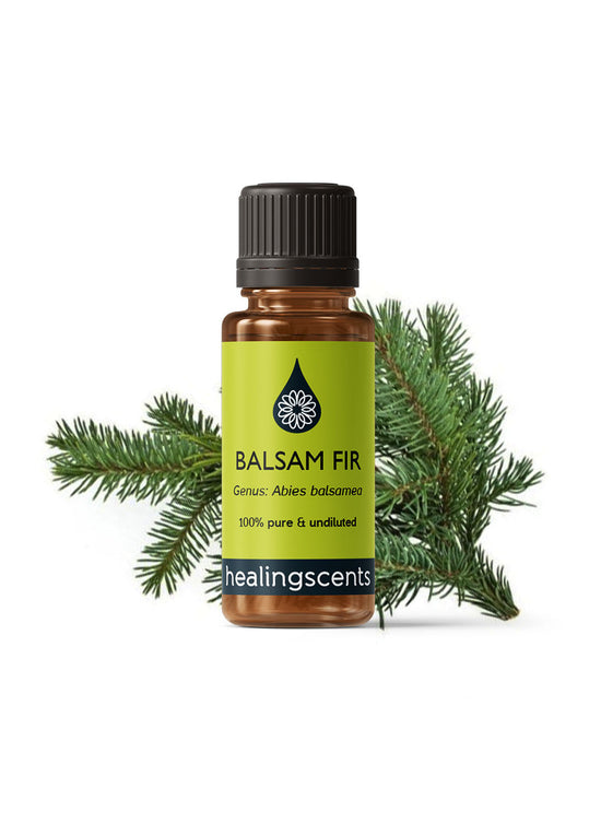 Fir Balsam Essential Oil Essential Oils Healingscents   