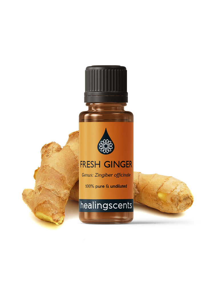 Ginger Fresh Organic Essential Oil Essential Oils Healingscents   