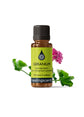Geranium Essential Oil Certified Organic (Rose Geranium) Essential Oils Healingscents   