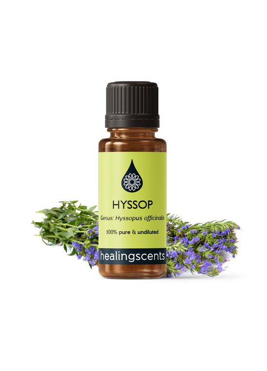 Hyssop Essential Oil Essential Oils Healingscents   