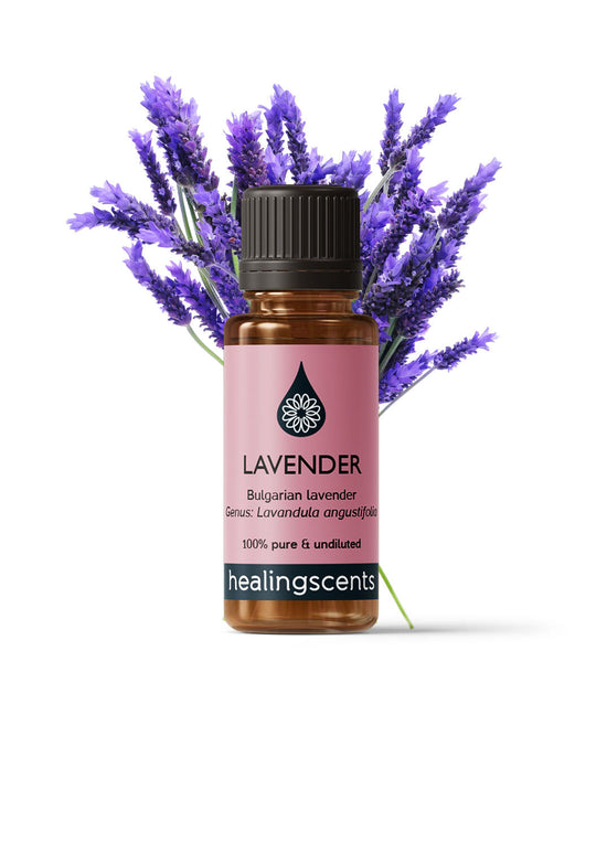Lavender Bulgarian Certified Organic Essential Oil Essential Oils Healingscents   