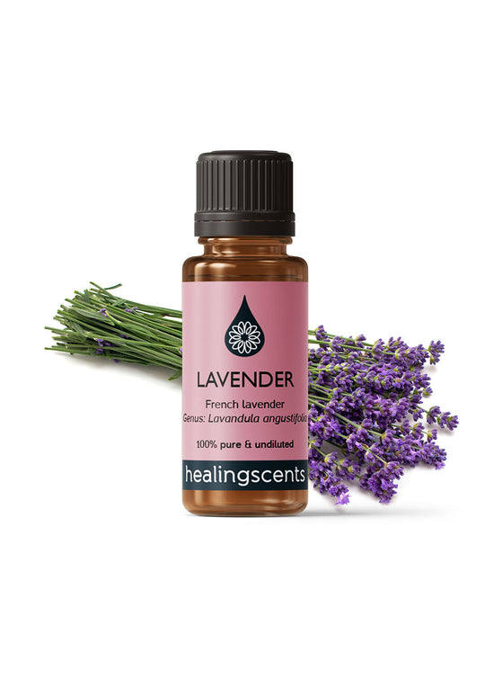 Lavender French Essential Oil Essential Oils Healingscents   
