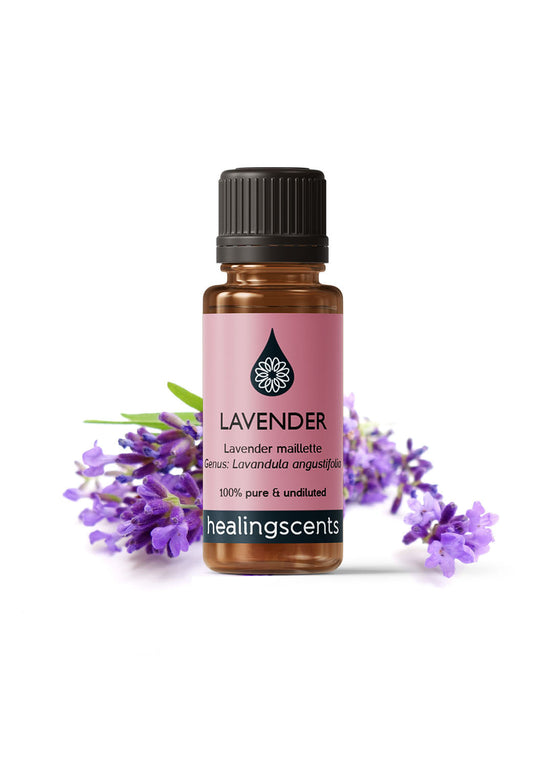 Lavender Maillette Essential Oil Essential Oil Healingscents   