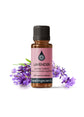 Lavender Maillette Essential Oil Essential Oils Healingscents   