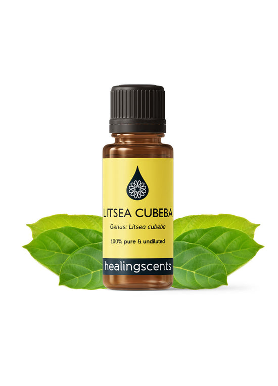 Litsea Cubeba Organic Essential Oil Essential Oils Healingscents   