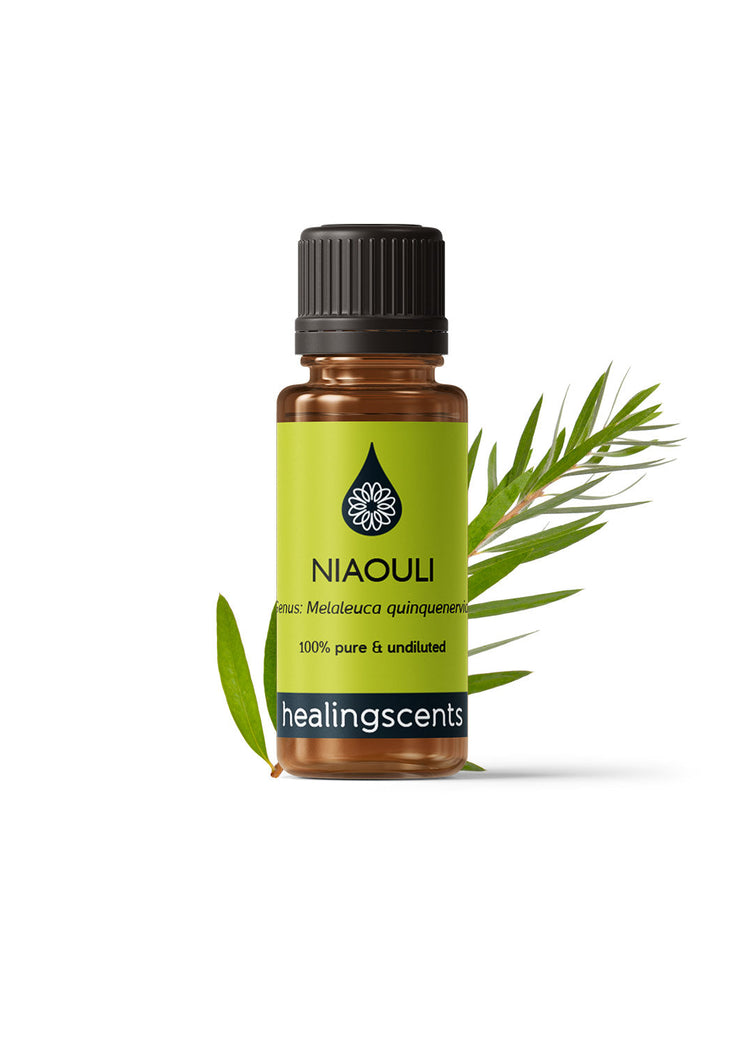 Niaouli Certified Organic Essential Oil Essential Oils Healingscents   
