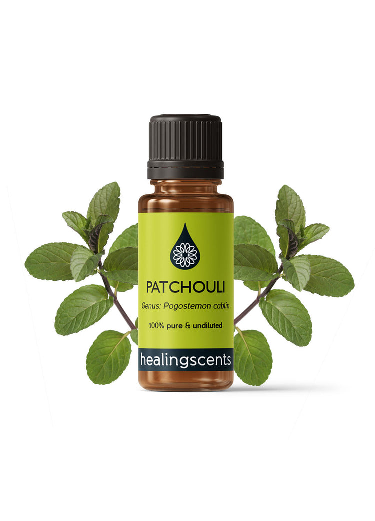 Patchouli Organic Essential Oil Essential Oils Healingscents   