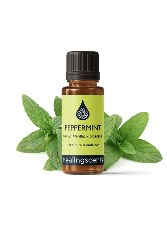 Peppermint Certified Organic Essential Oil Essential Oil Healingscents   