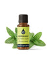 Peppermint Certified Organic Essential Oil Essential Oils Healingscents   