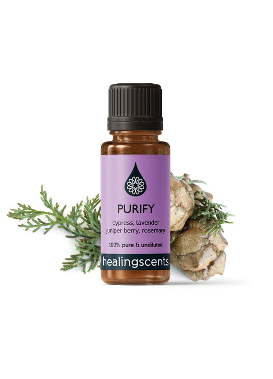 Purify Synergy Blend Diffuser Blends Healingscents   
