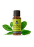 Ravintsara Essential Oil Essential Oil Healingscents   
