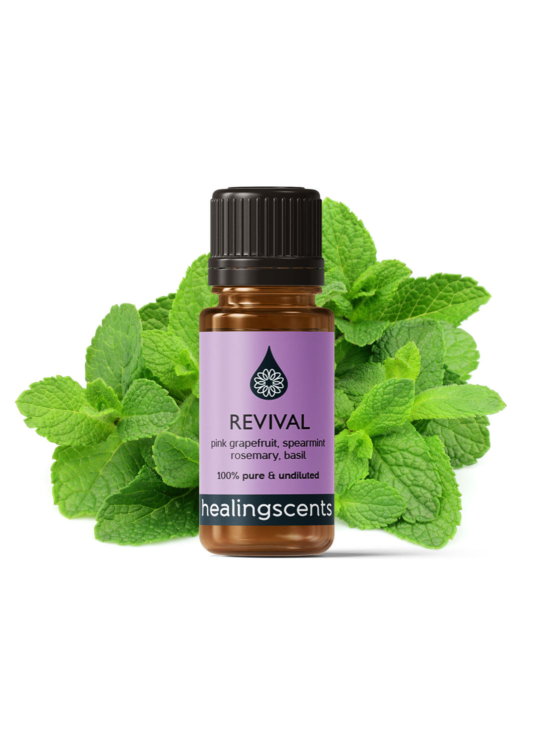 Revival Synergy Blend Diffuser Blends Healingscents   