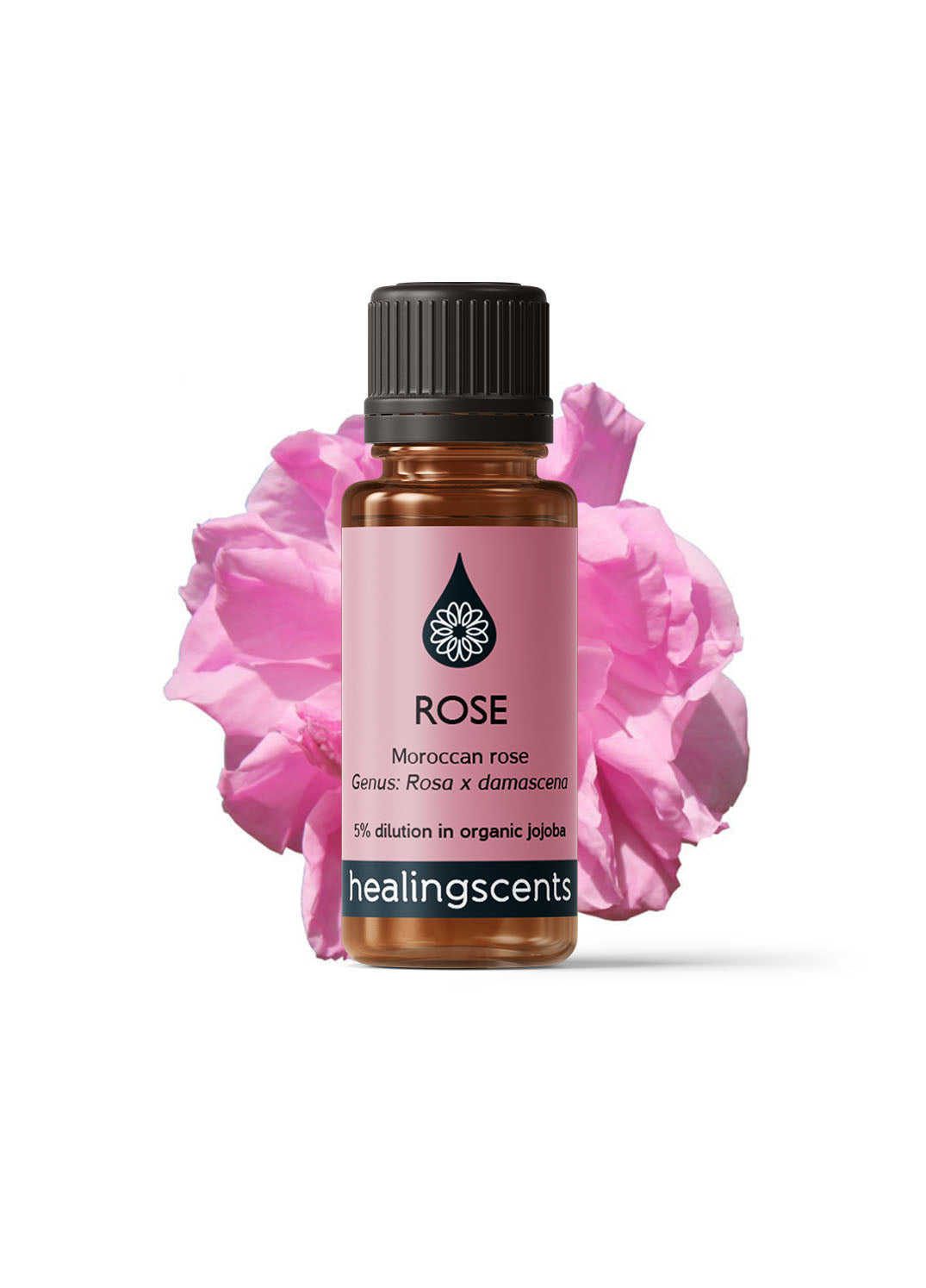 Rose Absolute (Morocco) Absolute Healingscents   
