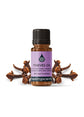 Thieves Synergy Blend Diffuser Blends Healingscents   