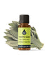 White Sage Ethically Farmed Organic Essential Oil Essential Oils Healingscents   